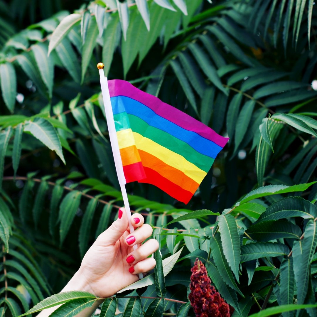 3 Facts You Might Not Know About Pride Month | Buddha Pants®