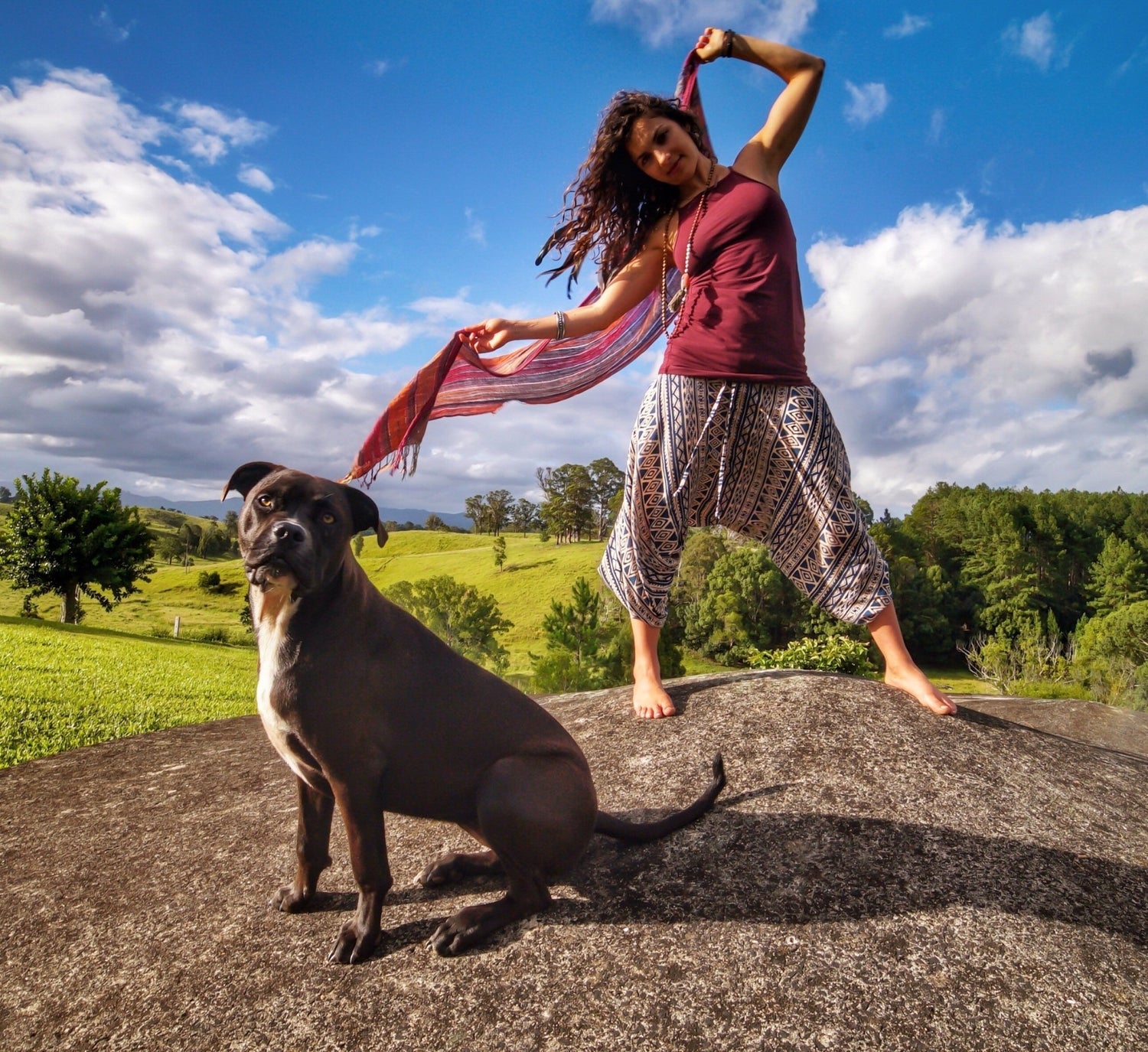 5 Amazing Dog-friendly Travel Destinations | Buddha Pants®