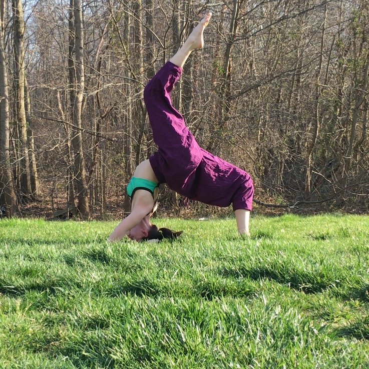 Ashley Carter Yoga | Buddha Pants®