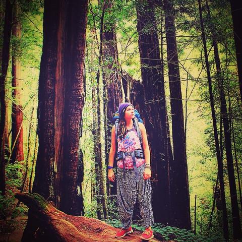 Buddha Redwoods! | Buddha Pants®